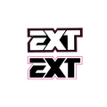EXT Fork Decal