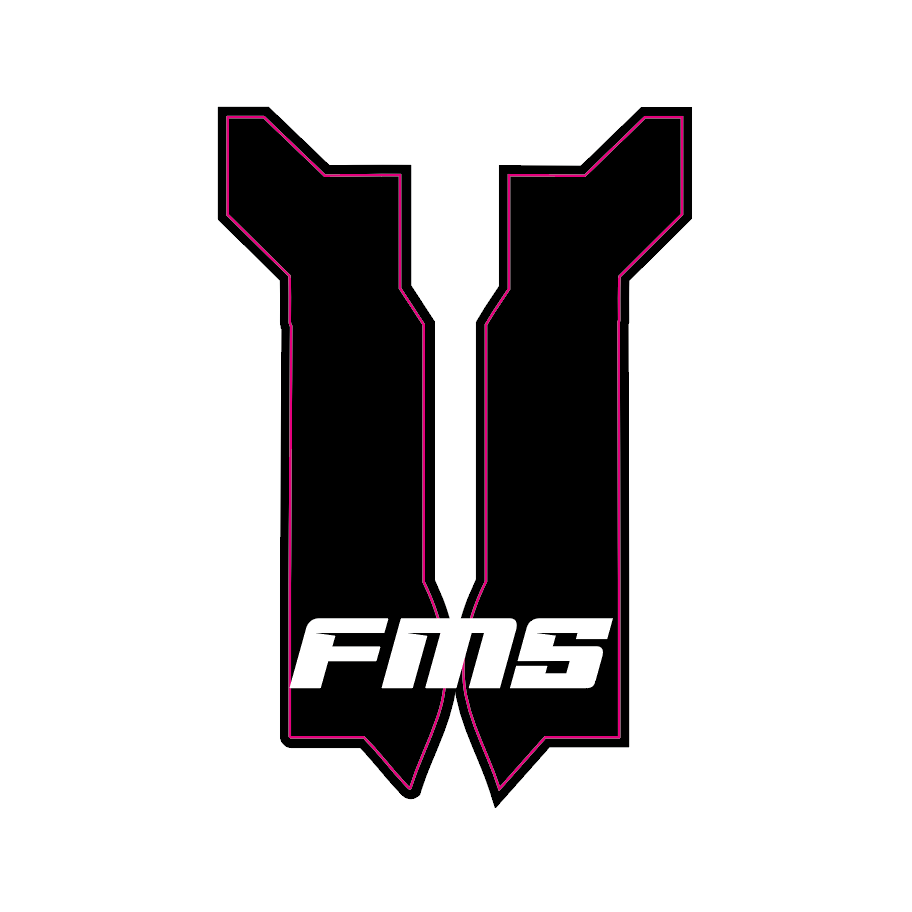 E-Ride Pro 2.0 SS Fork Guard Decal